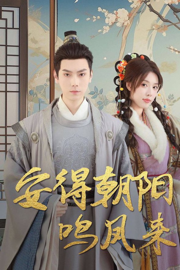 安得朝阳鸣凤来 云鬓绾山河(全集)